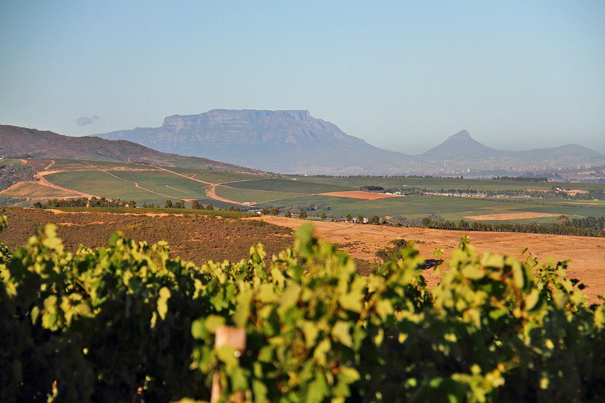 סטלנבוש Muratie Wine Estate מראה חיצוני תמונה