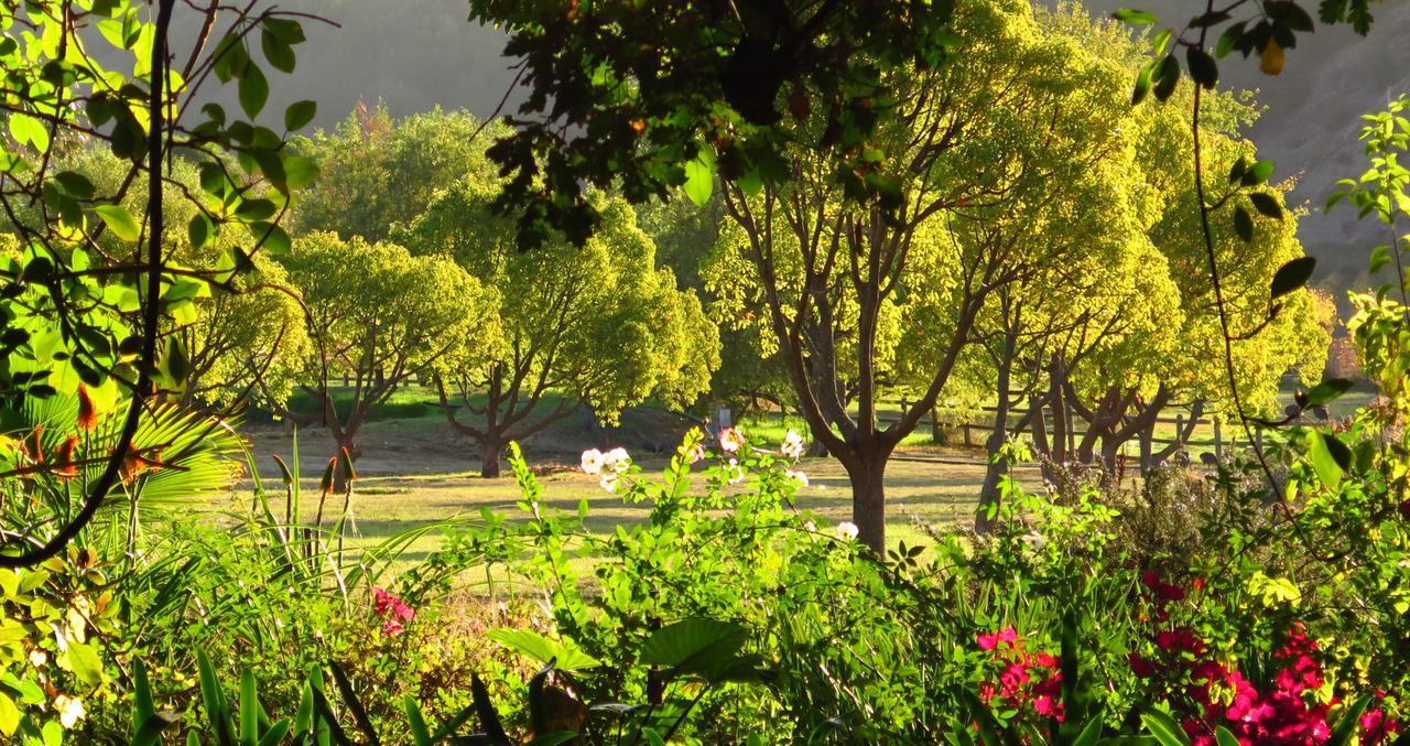 סטלנבוש Muratie Wine Estate מראה חיצוני תמונה