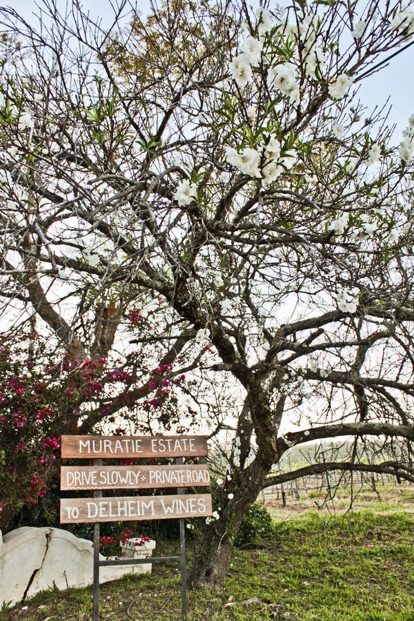 סטלנבוש Muratie Wine Estate מראה חיצוני תמונה